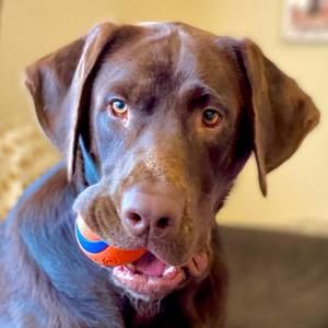 Meet your Posher, Beth